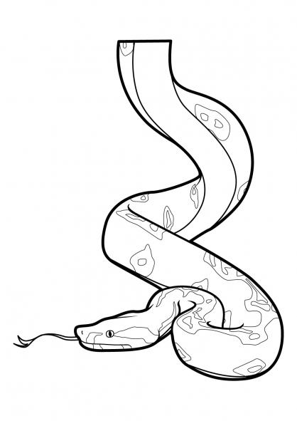 Coloring page: Snake (Animals) #14382 - Free Printable Coloring Pages