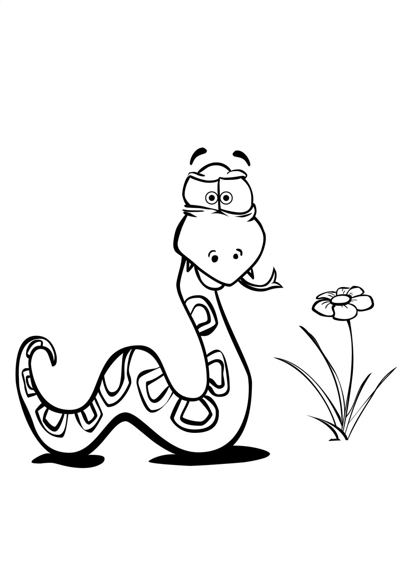 Coloring page: Snake (Animals) #14386 - Free Printable Coloring Pages