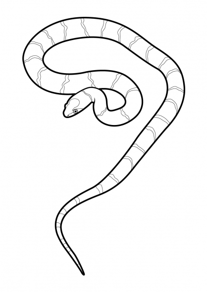 Coloring page: Snake (Animals) #14410 - Free Printable Coloring Pages