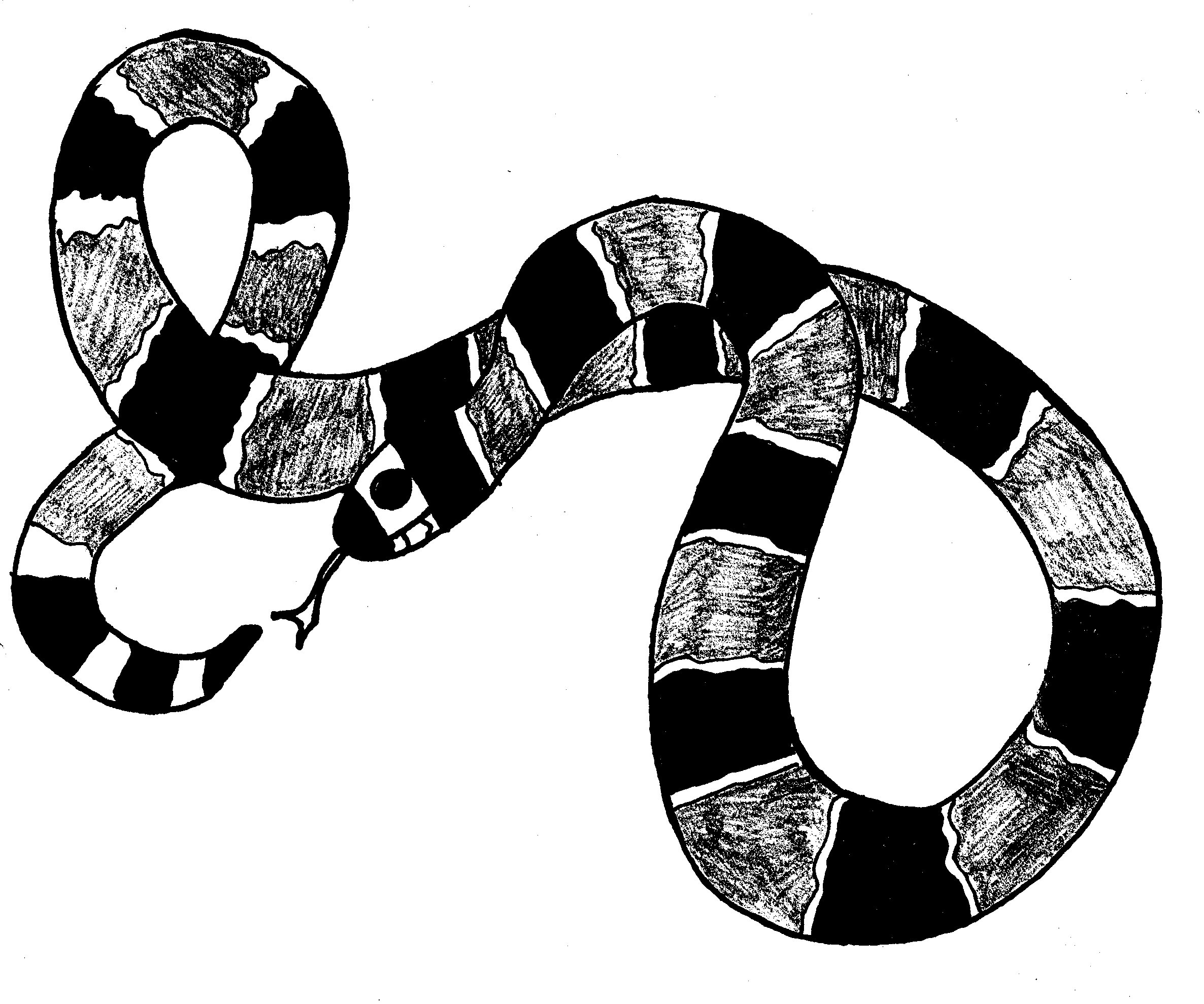 Coloring page: Snake (Animals) #14426 - Free Printable Coloring Pages