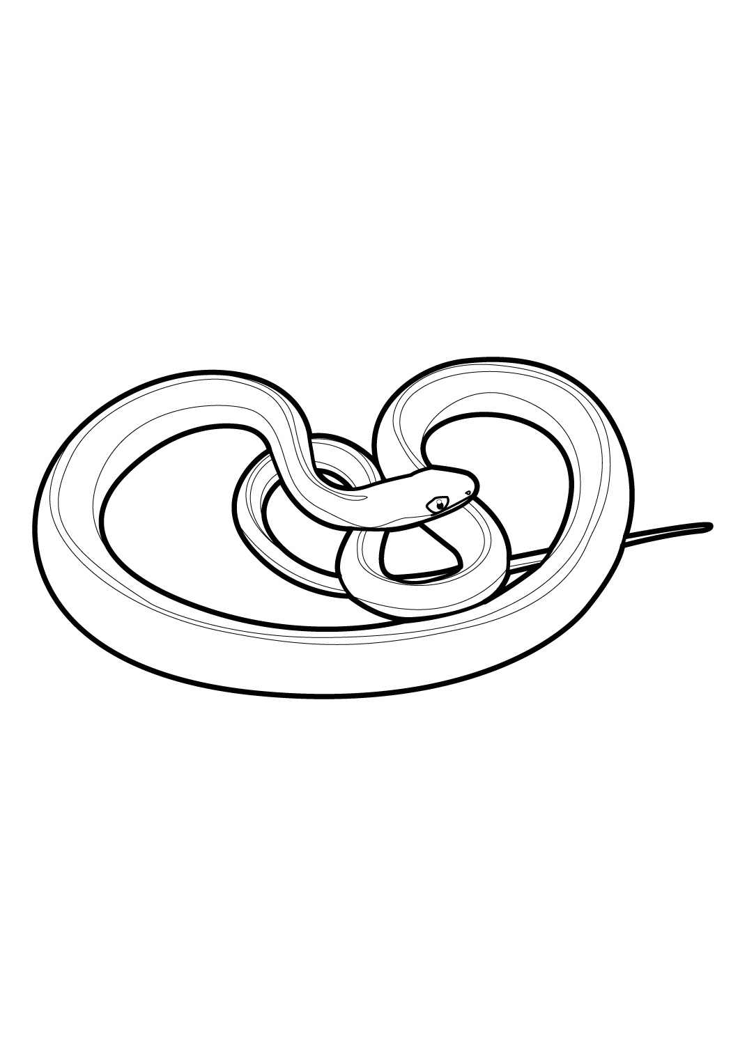 Coloring page: Snake (Animals) #14430 - Free Printable Coloring Pages