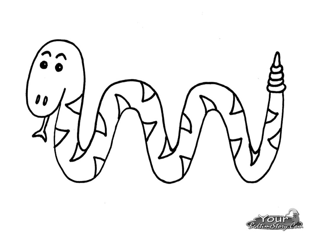 Coloring page: Snake (Animals) #14437 - Free Printable Coloring Pages