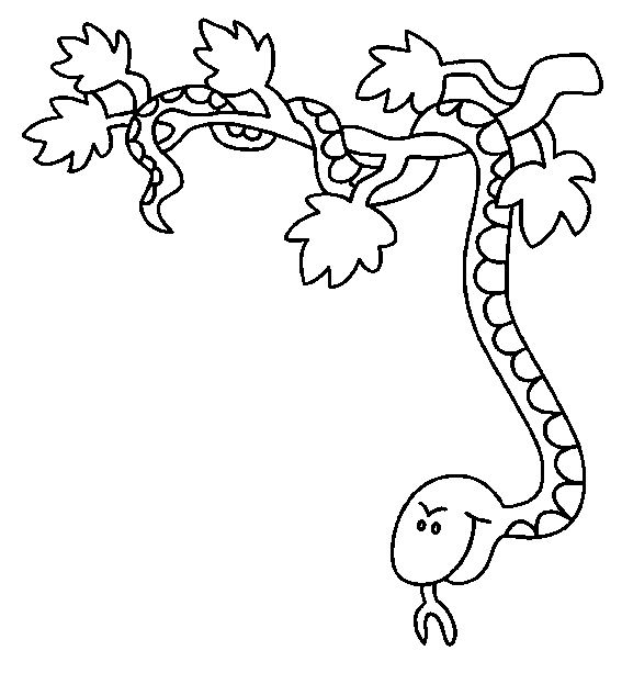 Coloring page: Snake (Animals) #14466 - Free Printable Coloring Pages