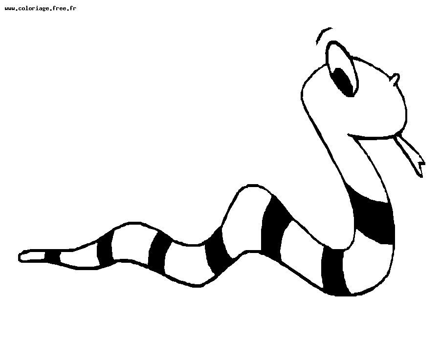 Coloring page: Snake (Animals) #14479 - Free Printable Coloring Pages