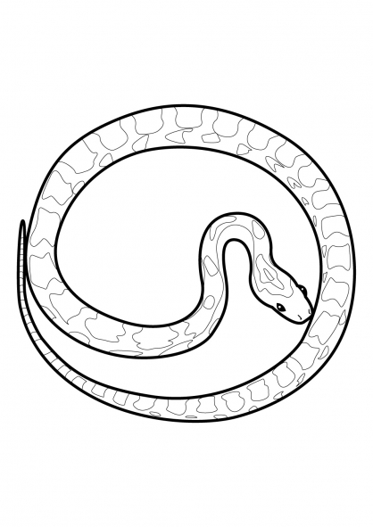 Coloring page: Snake (Animals) #14482 - Free Printable Coloring Pages