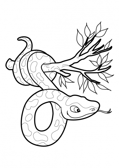 Coloring page: Snake (Animals) #14486 - Free Printable Coloring Pages