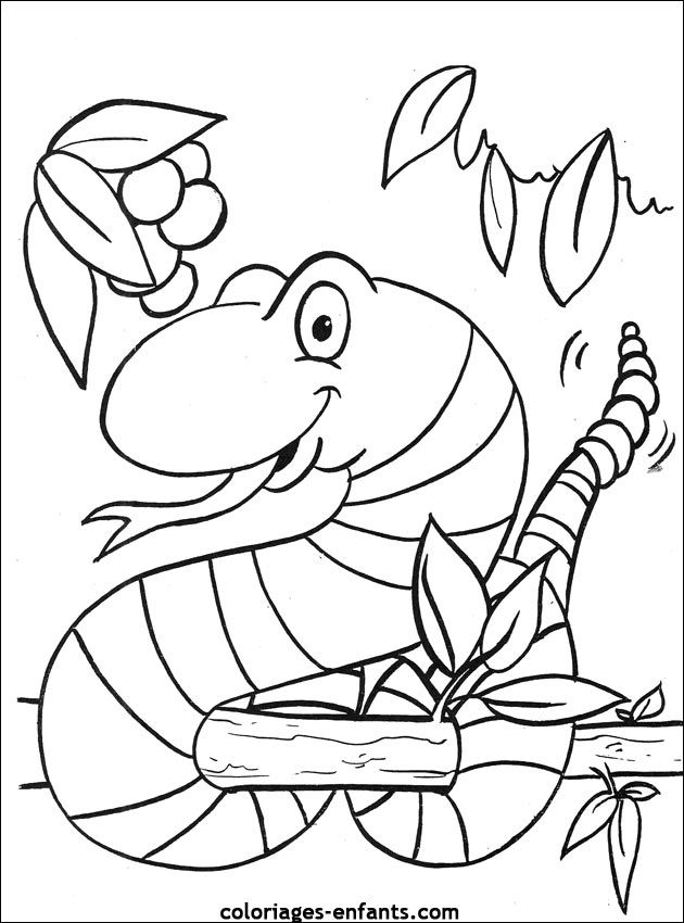 Coloring page: Snake (Animals) #14487 - Free Printable Coloring Pages