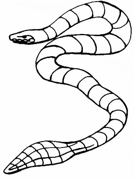 Coloring page: Snake (Animals) #14512 - Free Printable Coloring Pages