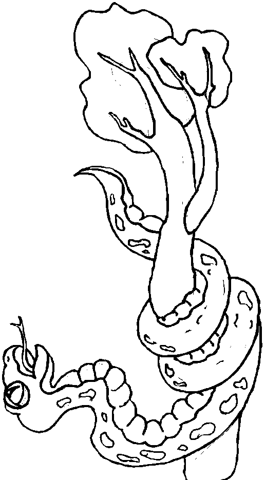 Coloring page: Snake (Animals) #14525 - Free Printable Coloring Pages