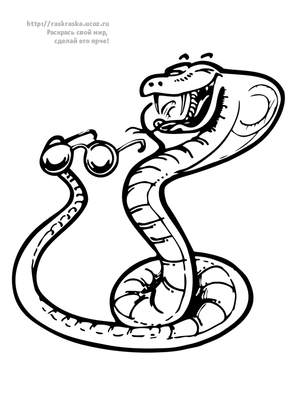 Coloring page: Snake (Animals) #14536 - Free Printable Coloring Pages