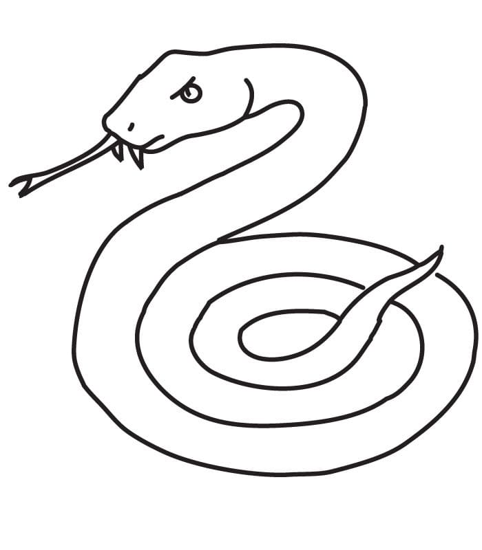 Free printable Snake coloring page #175142 from Animals collection