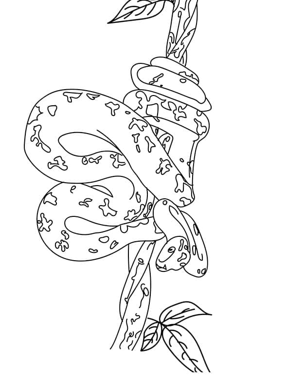 Free printable Snake coloring page #175151 from Animals collection
