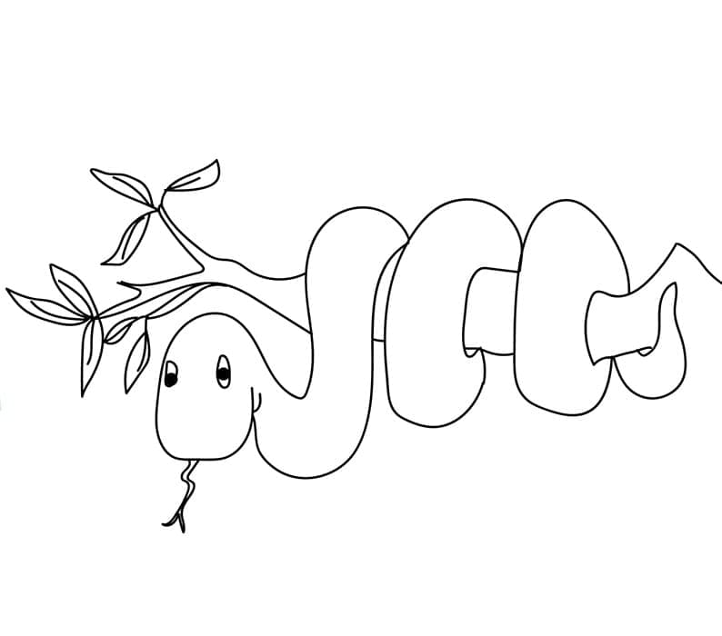 Free printable Snake coloring page #175153 from Animals collection Free printable Snake coloring page #175153 from Animals collection