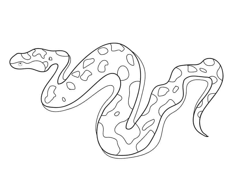 Free printable Snake coloring page #175159 from Animals collection