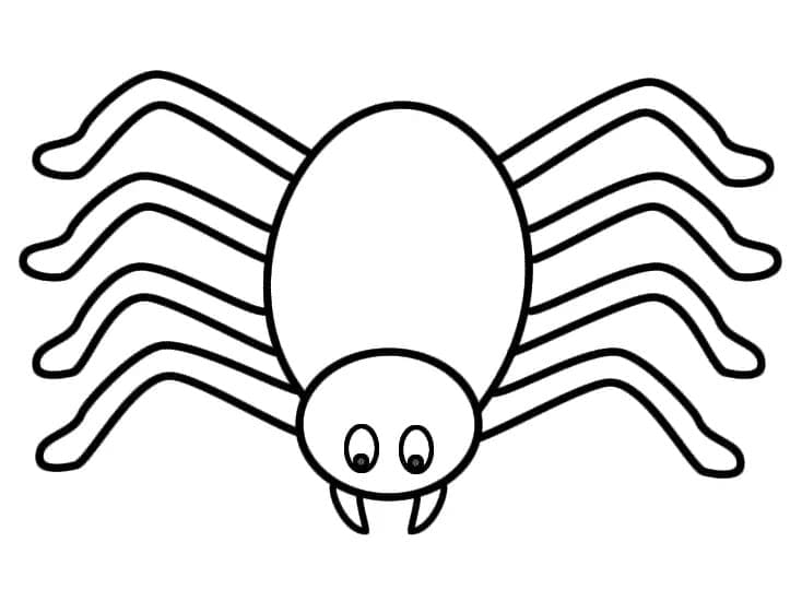 Free printable Spider coloring page #184512 from Animals collection