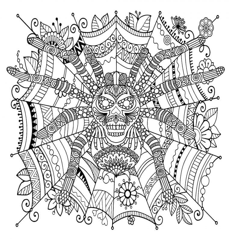 Free printable Spider coloring page #184515 from Animals collection