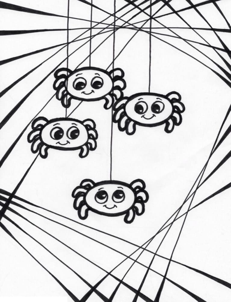 Free printable Spider coloring page #184529 from Animals collection Free printable Spider coloring page #184529 from Animals collection