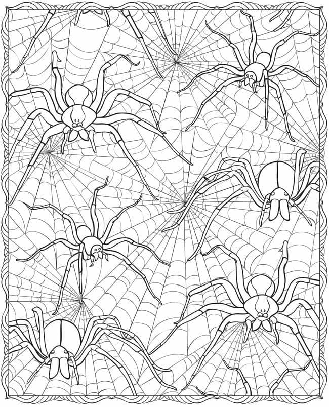 Free printable Spider coloring page #184532 from Animals collection