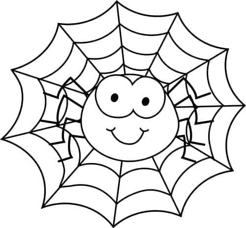 Free printable Spider coloring page #184534 from Animals collection