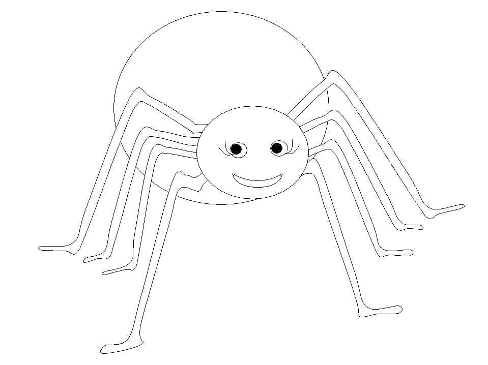 Free printable Spider coloring page #184537 from Animals collection