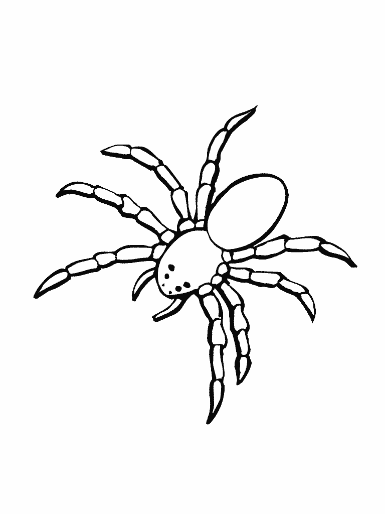 Coloring page: Spider (Animals) #583 - Free Printable Coloring Pages