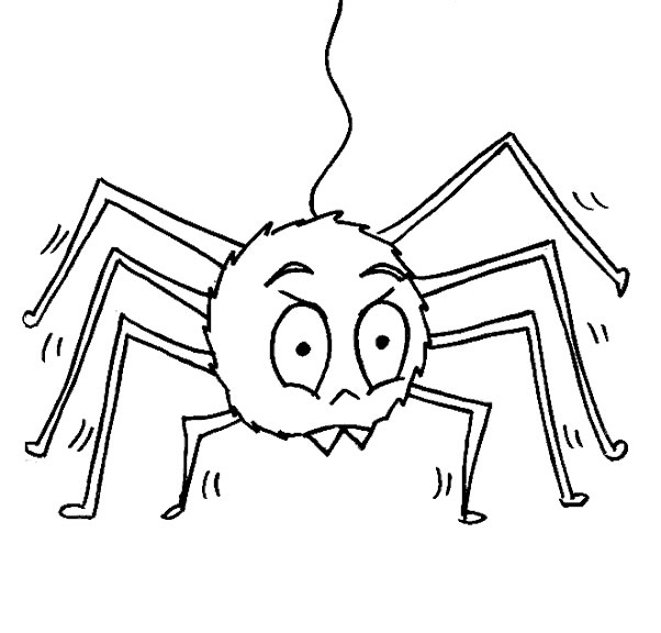 Coloring page: Spider (Animals) #585 - Free Printable Coloring Pages