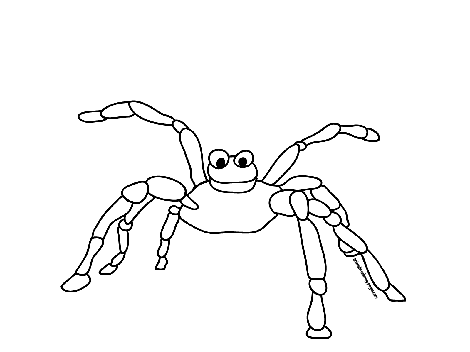 Coloring page: Spider (Animals) #611 - Free Printable Coloring Pages
