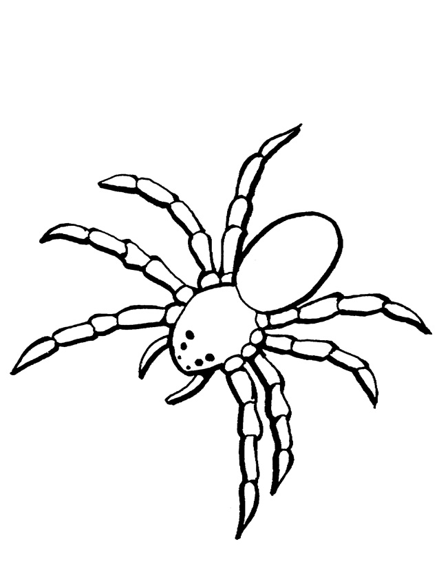 Coloring page: Spider (Animals) #621 - Free Printable Coloring Pages