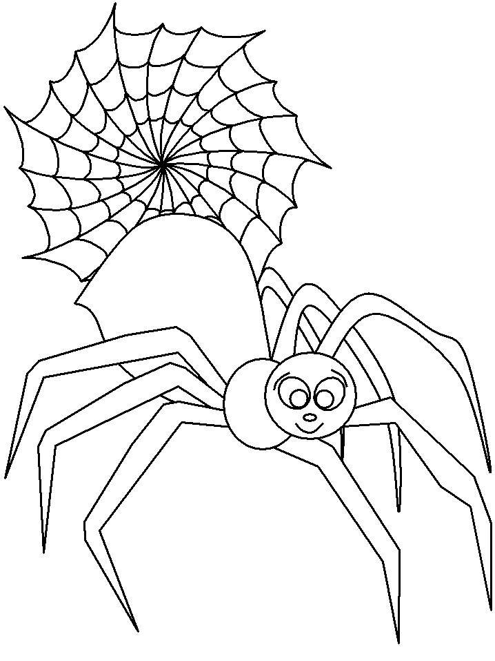 Coloring page: Spider (Animals) #630 - Free Printable Coloring Pages