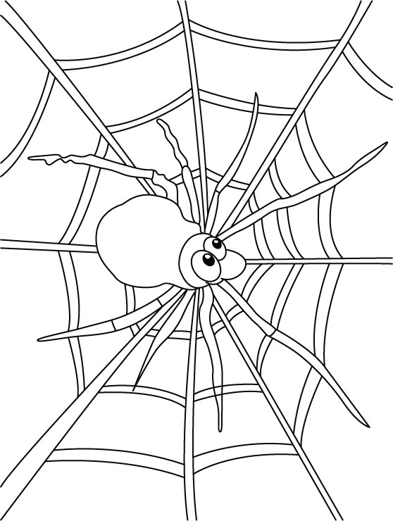 Coloring page: Spider (Animals) #648 - Free Printable Coloring Pages