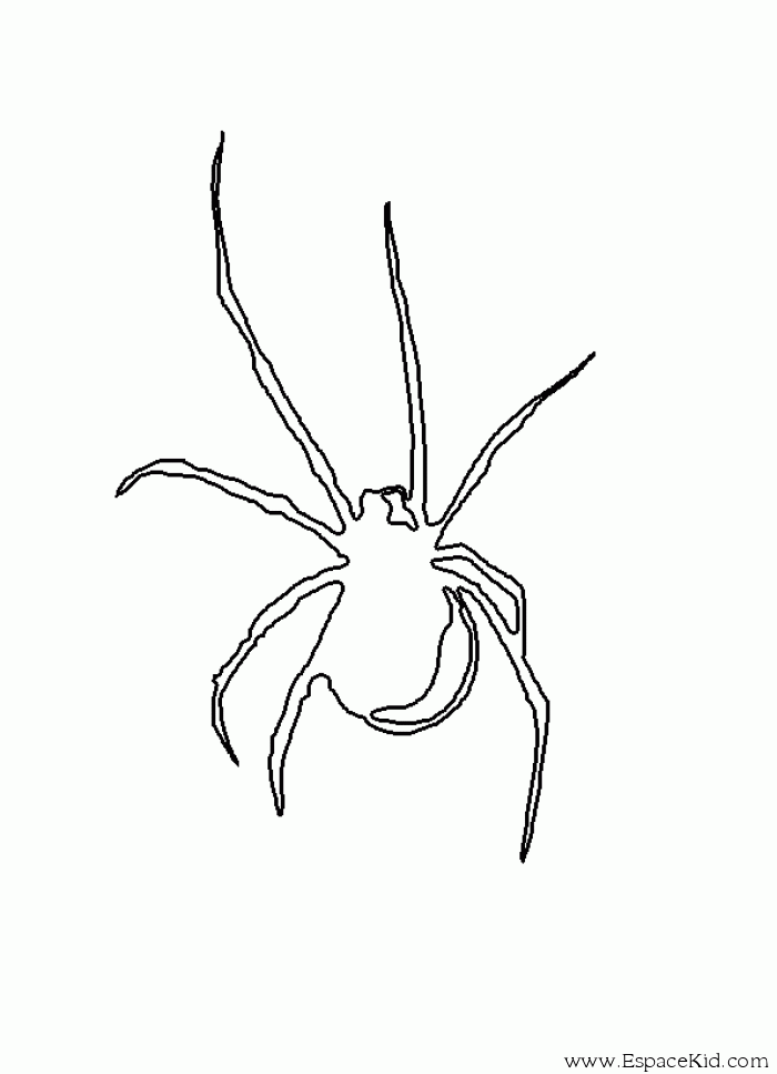 Coloring page: Spider (Animals) #649 - Free Printable Coloring Pages