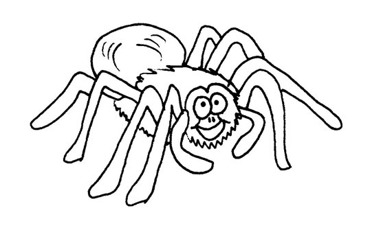 Coloring page: Spider (Animals) #656 - Free Printable Coloring Pages