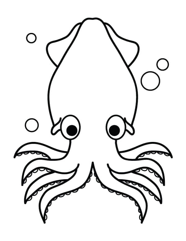 Free printable Squid coloring page #208865 from Animals collection