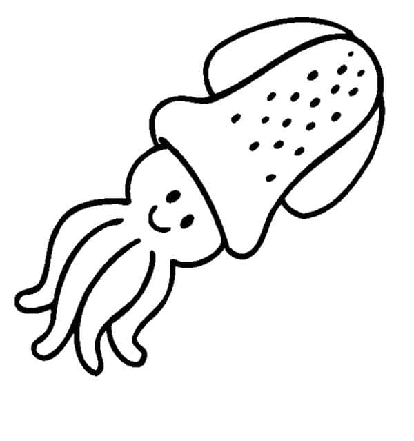 Free printable Squid coloring page #208867 from Animals collection