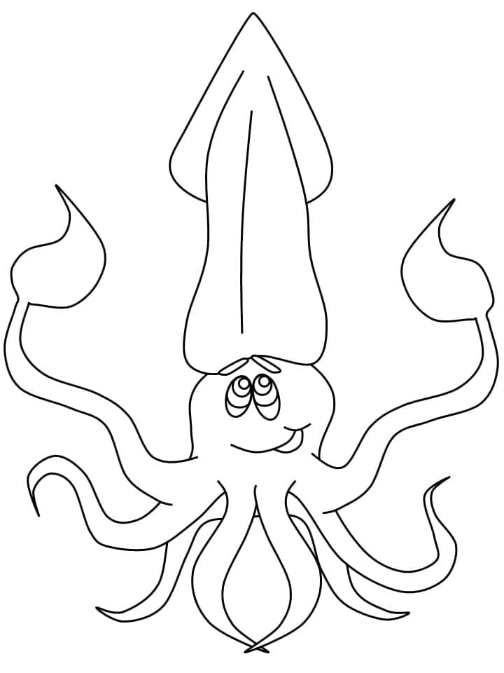 Free printable Squid coloring page #208869 from Animals collection