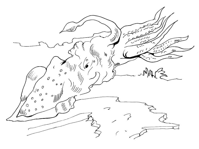 Free printable Squid coloring page #208878 from Animals collection