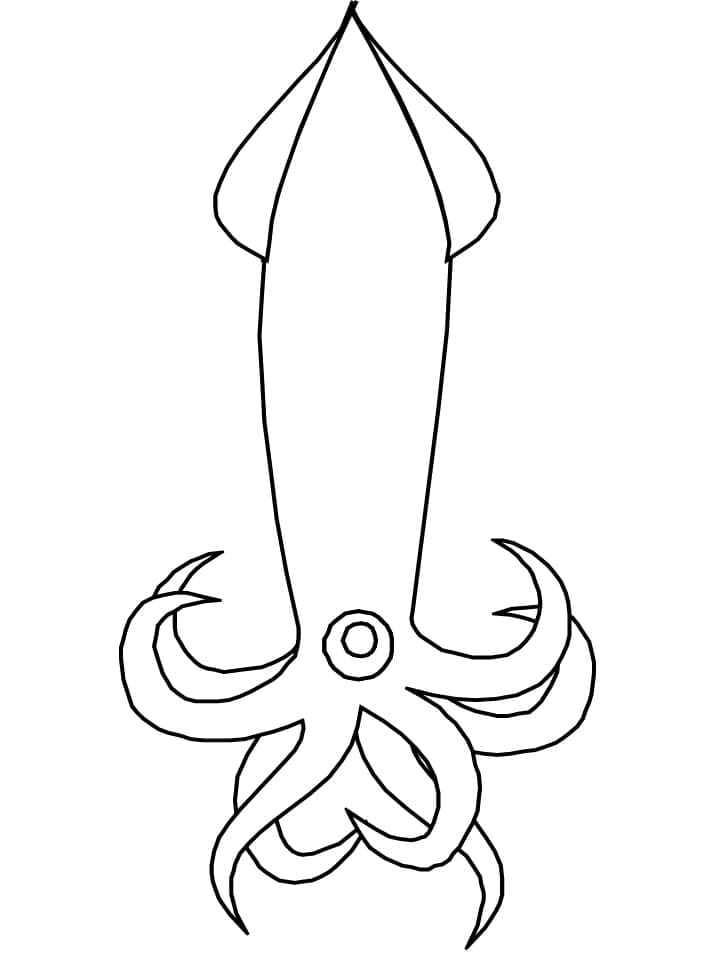 Free printable Squid coloring page #208880 from Animals collection