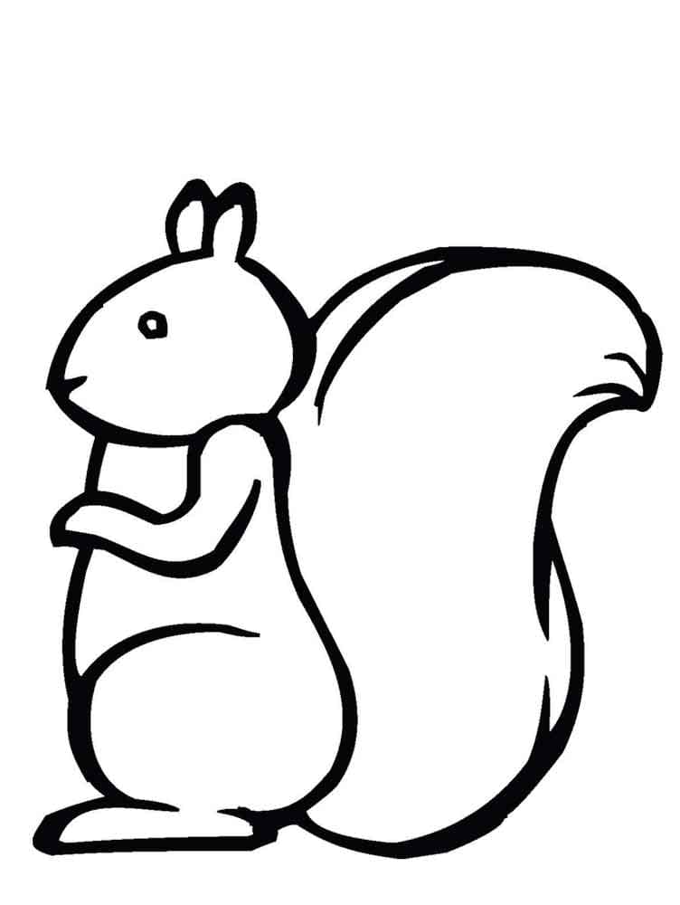 Free printable Squirrel coloring page #177466 from Animals collection