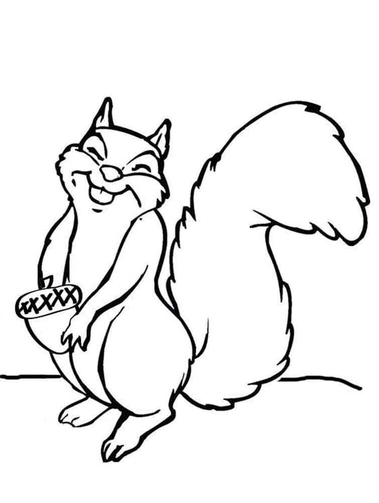 Free printable Squirrel coloring page #177473 from Animals collection