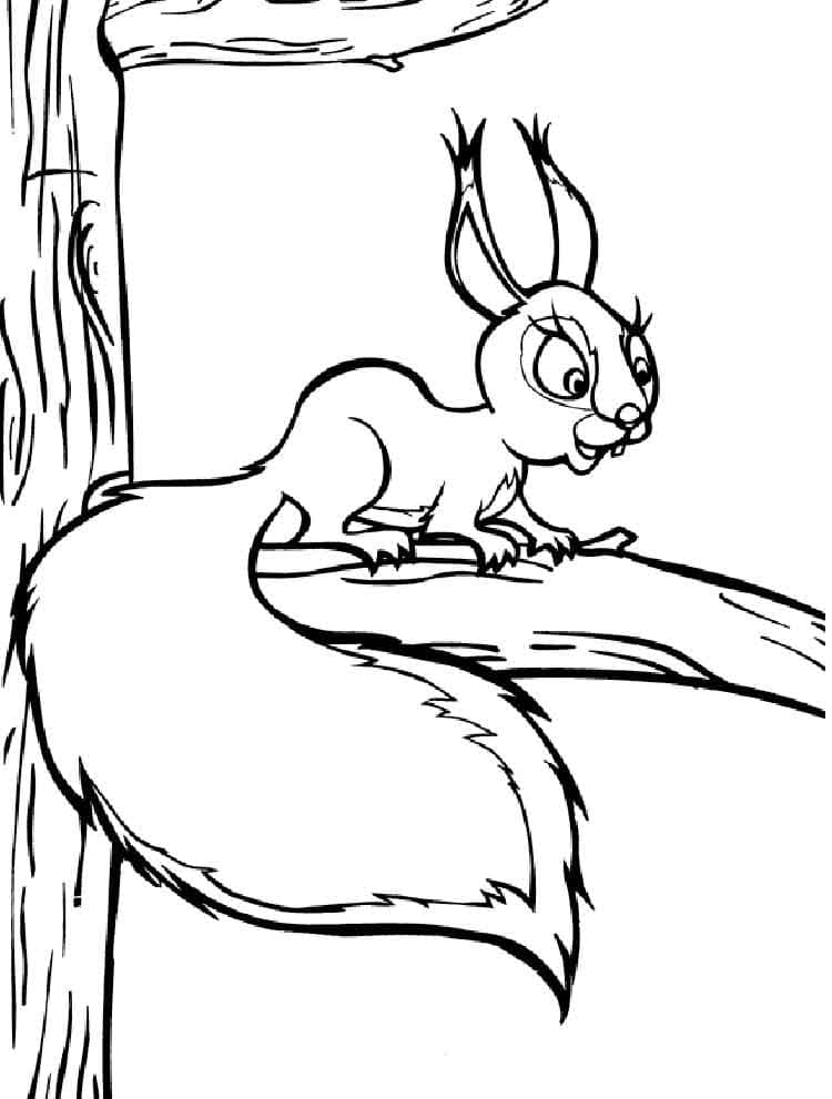 Free printable Squirrel coloring page #177475 from Animals collection Free printable Squirrel coloring page #177475 from Animals collection