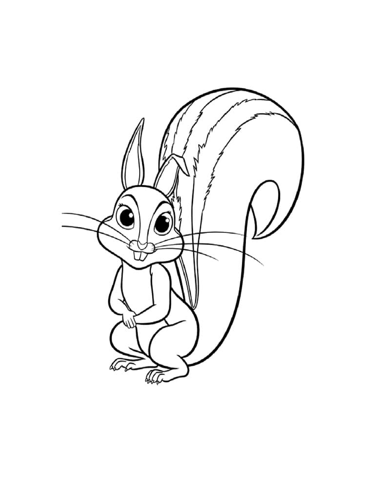 Free printable Squirrel coloring page #177478 from Animals collection