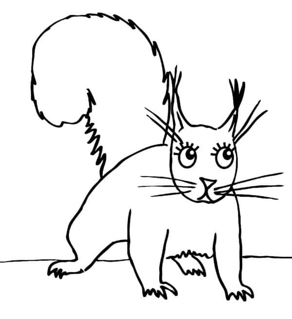 Free printable Squirrel coloring page #216971 from Animals collection Free printable Squirrel coloring page #216971 from Animals collection