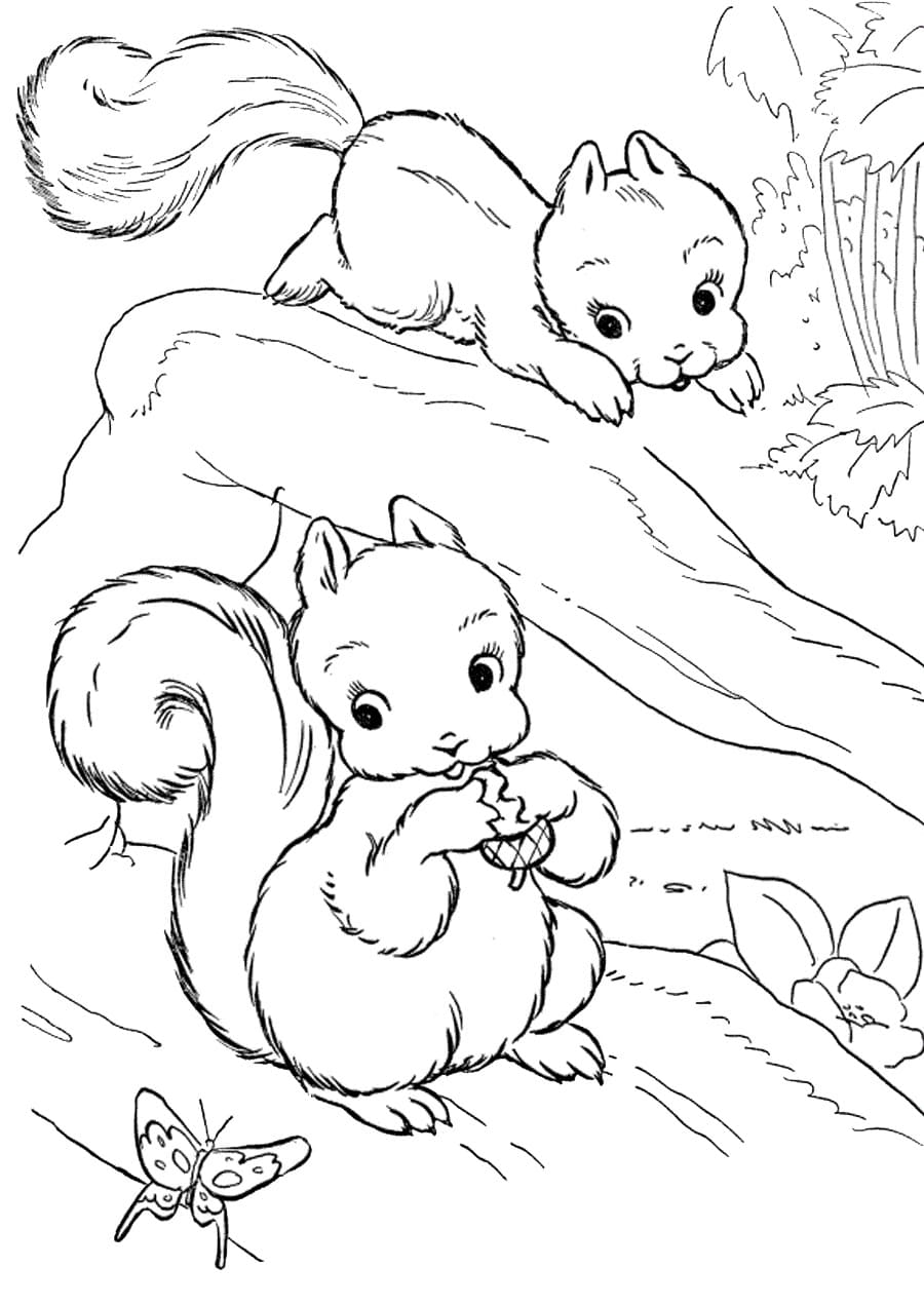 Free printable Squirrel coloring page #216974 from Animals collection