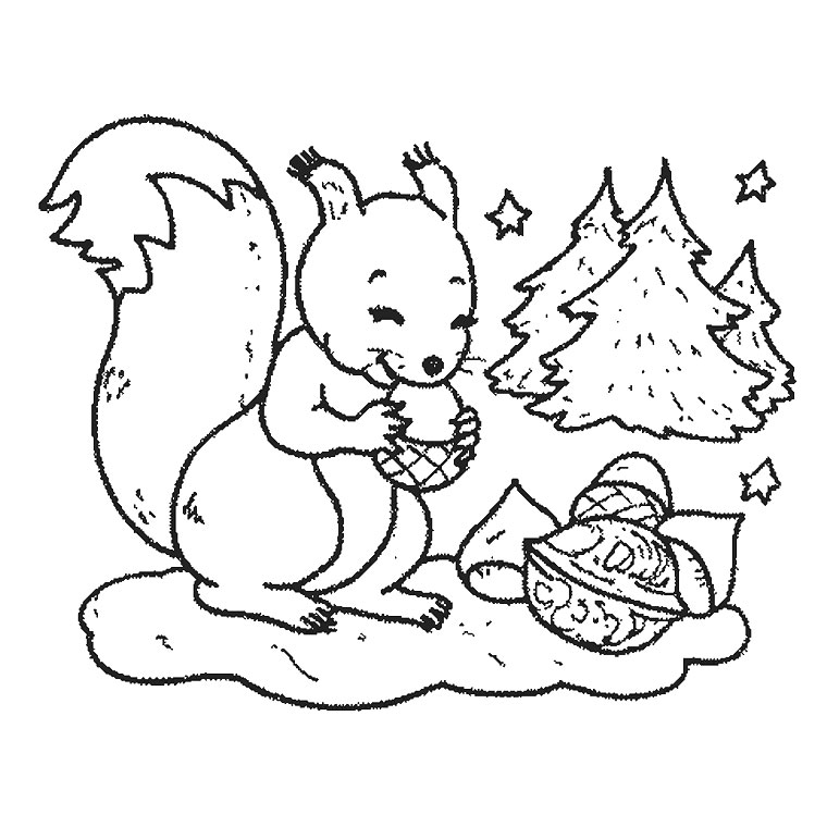 Coloring page: Squirrel (Animals) #6096 - Free Printable Coloring Pages
