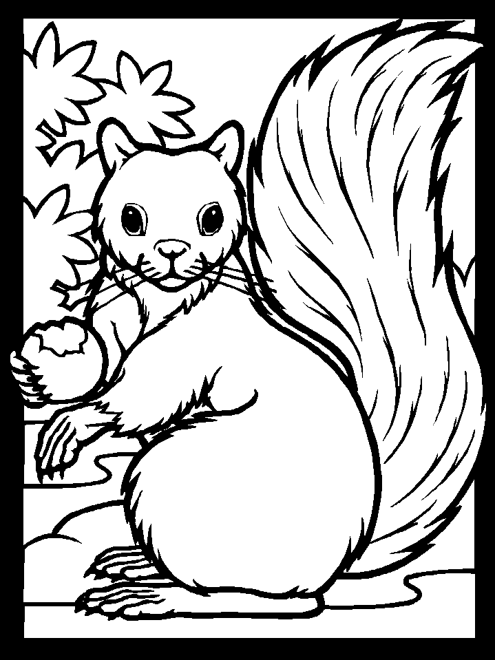 Coloring page: Squirrel (Animals) #6108 - Free Printable Coloring Pages