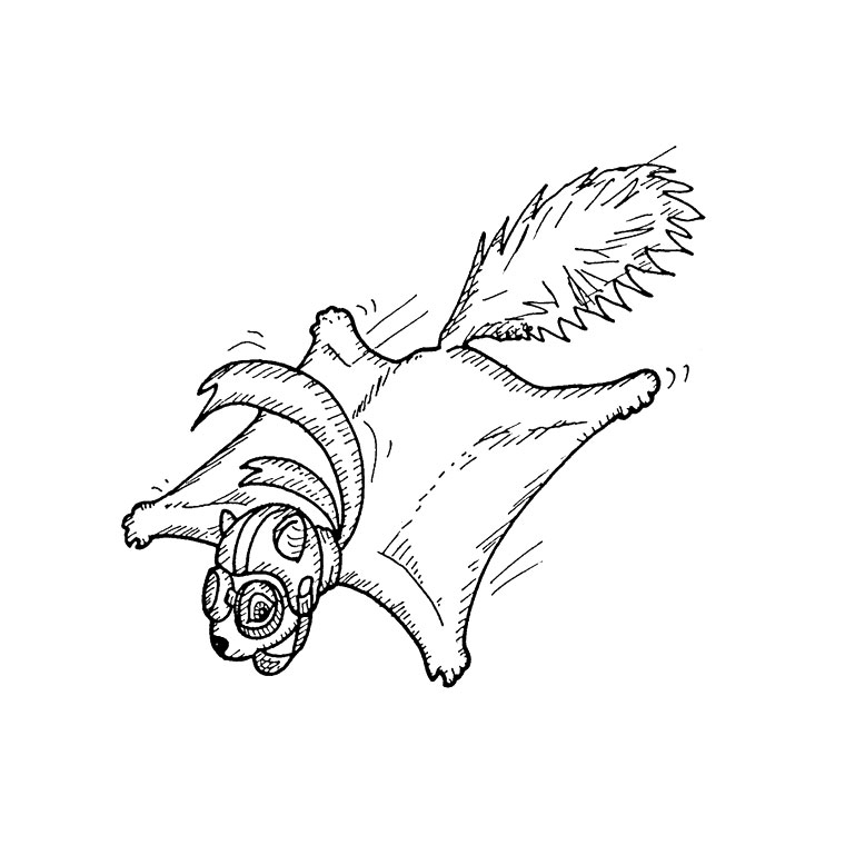 Coloring page: Squirrel (Animals) #6111 - Free Printable Coloring Pages