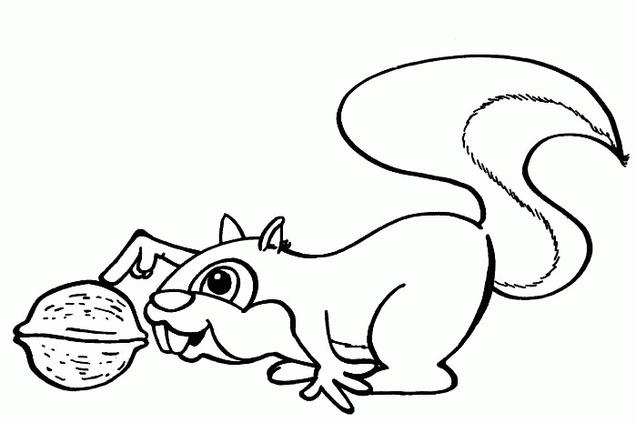 Coloring page: Squirrel (Animals) #6112 - Free Printable Coloring Pages