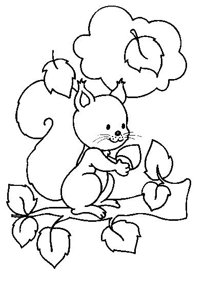 Coloring page: Squirrel (Animals) #6116 - Free Printable Coloring Pages