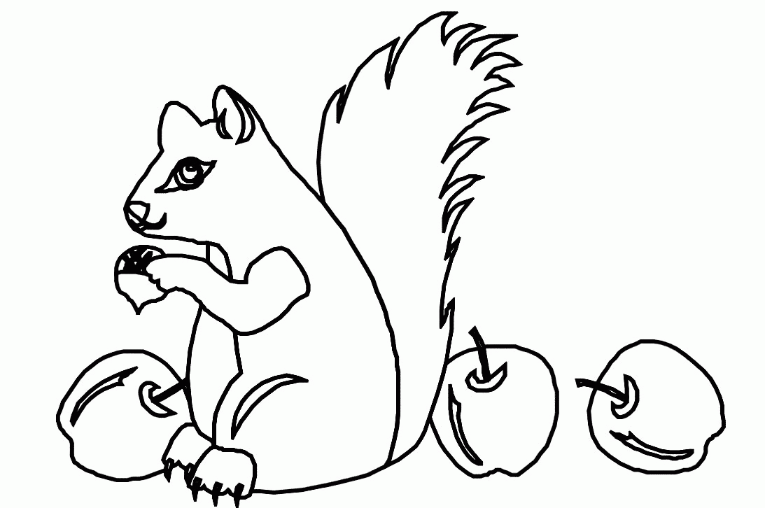 Coloring page: Squirrel (Animals) #6124 - Free Printable Coloring Pages