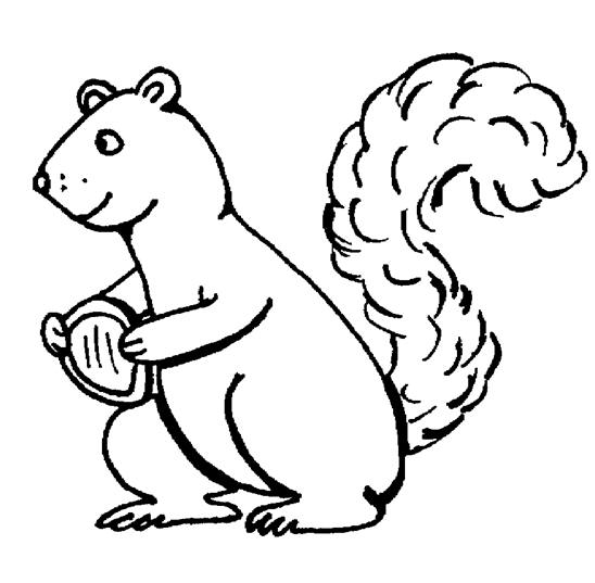 Coloring page: Squirrel (Animals) #6133 - Free Printable Coloring Pages